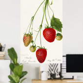 Poster Illustration de fraise vintage (Bureau à domicile)
