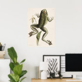 Poster Illustration de grenouille vintage (Bureau à domicile)