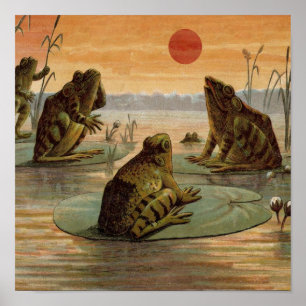 Poster Illustration de grenouilles Lily Pads Moon