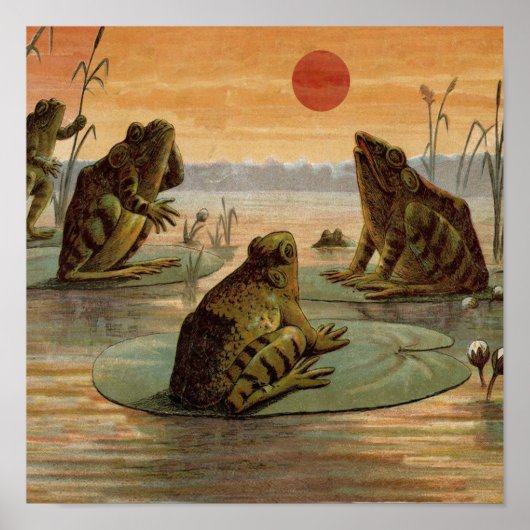 Poster Illustration de grenouilles Lily Pads Moon (Devant)