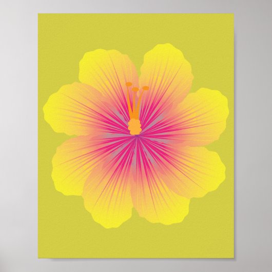 Poster Illustration de Hibiscus Jaune (Devant)