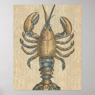Poster Illustration de homard antique Maine fruits de mer
