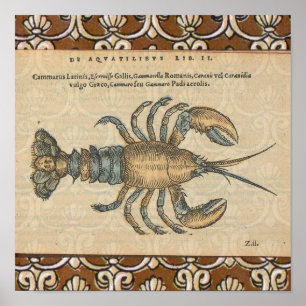 Poster Illustration de homard, fruits de mer du Maine