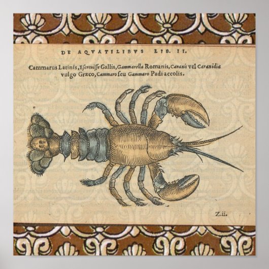 Poster Illustration de homard, fruits de mer du Maine (Devant)