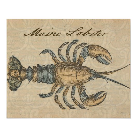 Poster Illustration de homard, fruits de mer du Maine (Devant)