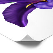 Poster Illustration de Iris dans l'eau de la tourbière vi (Coin)