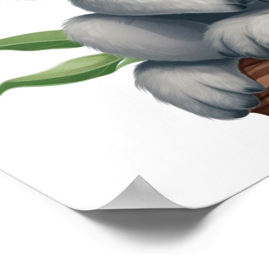 Poster Illustration de koala du dessin animé (Coin)