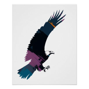 Poster Illustration de la faune d'aigle silhouette de vol