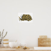 Poster Illustration de la feuille de limace de mer grillé (Cuisine)