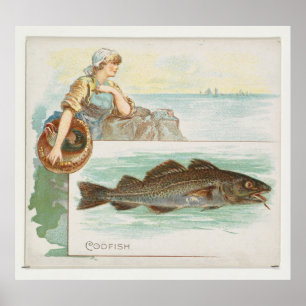 Poster Illustration de la morue de l'Atlantique vintage (