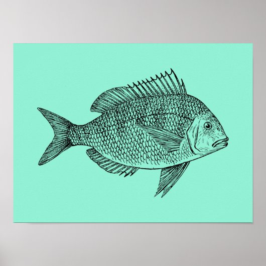 Poster Illustration de la science du poisson vintage (Devant)