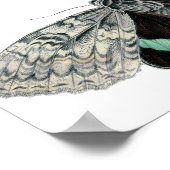 Poster Illustration de la teinte typographique vintage (Coin)