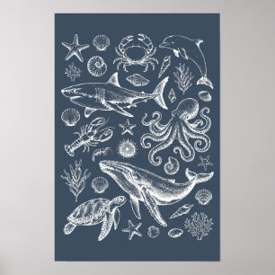 Poster Illustration de la vie marine nautique vintage