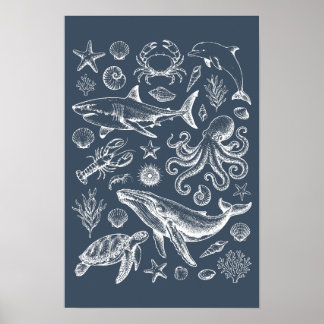 Poster Illustration de la vie marine nautique vintage