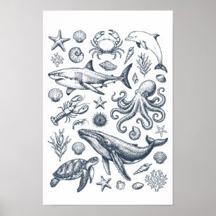 Poster Illustration de la vie marine nautique vintage