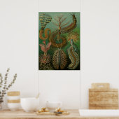 Poster Illustration de la vie marine vintage (Cuisine)