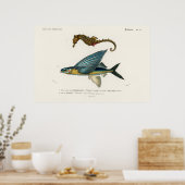 Poster Illustration de la vie marine vintage (Cuisine)