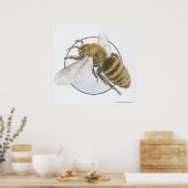 Poster Illustration de l'abeille européenne au miel (Cuisine)