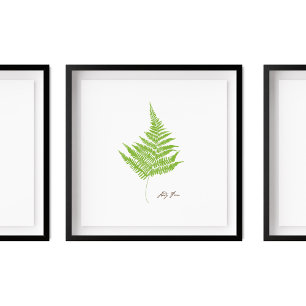 Poster Illustration de Lady Fern Série Fern