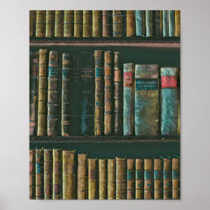 Poster Illustration de l'amoureux de bibliothèque