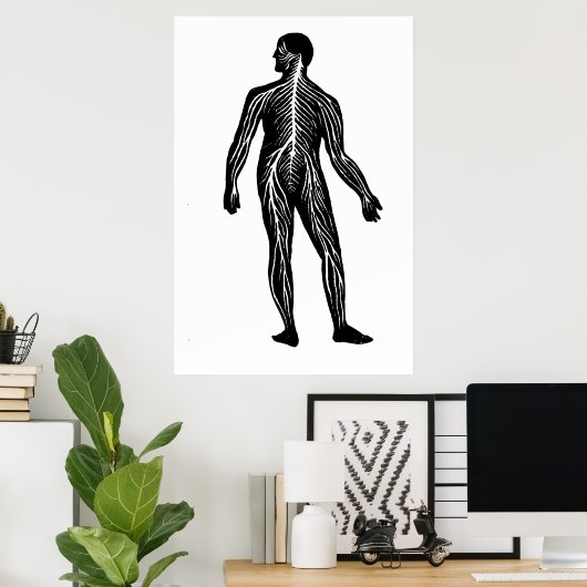 Poster Illustration de l'anatomie du système nerveux huma (Bureau à domicile)