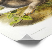 Poster Illustration de lapin (Coin)