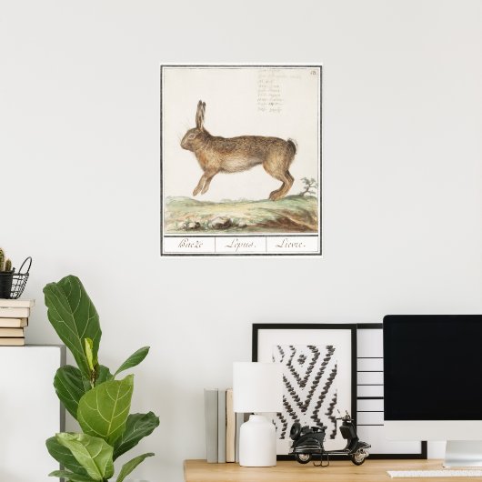 Poster Illustration de lapin (Bureau à domicile)