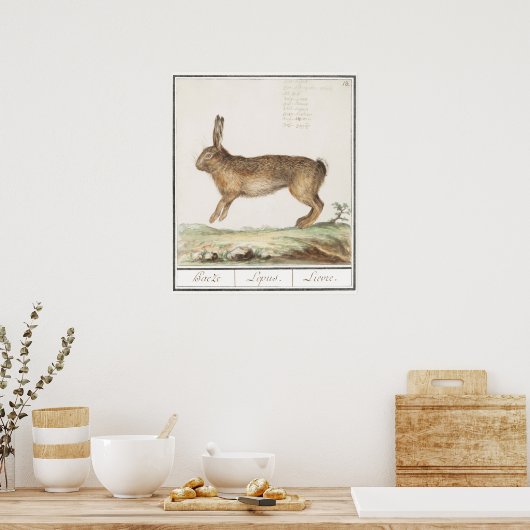 Poster Illustration de lapin (Cuisine)