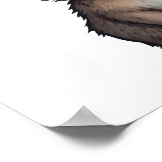 Poster Illustration de lapin de dessin (Coin)