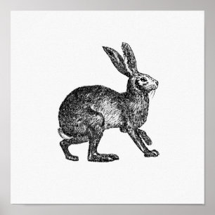 Poster Illustration de lapin vintage