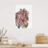 Poster Illustration de l'aquarelle rose Caladium (Cuisine)