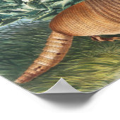 Poster Illustration de l'Armadillo (Dasypus Peba) à neuf (Coin)