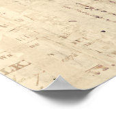 Poster Illustration de l'art des champignons vintages (Coin)