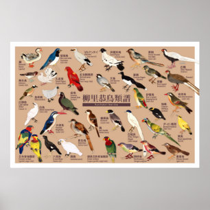 Poster Illustration de l'Atlas vintage des oiseaux du Jap