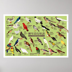 Poster Illustration de l'Atlas vintage des oiseaux du Jap