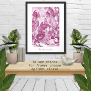 Poster Illustration de l'autruche Vintage de prune Struth