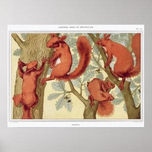 Poster Illustration de l'écureuil Vintage
