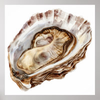 Illustration de l'huître aquarelle