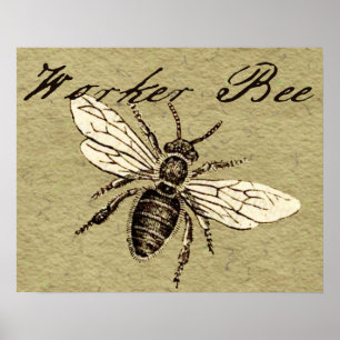 Poster Illustration de l'insecte abeille du travailleur