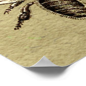 Poster Illustration de l'insecte abeille du travailleur (Coin)