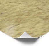 Poster Illustration de l'insecte d'abeille vintage (Coin)