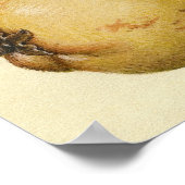 Poster Illustration de l'insecte du fruit du papillon (Coin)