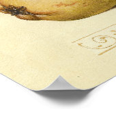 Poster Illustration de l'insecte du fruit du papillon (Coin)