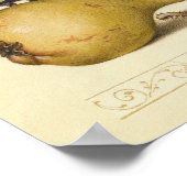 Poster Illustration de l'insecte du fruit du papillon (Coin)