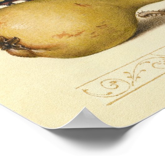 Poster Illustration de l'insecte du fruit du papillon (Coin)