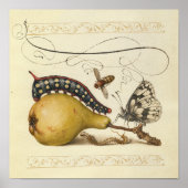 Poster Illustration de l'insecte du fruit du papillon (Devant)