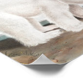 Poster Illustration de l'Ours polaire (Ursus maritimus) (Coin)