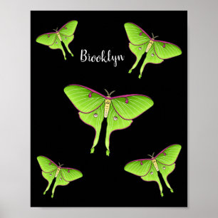 Poster Illustration de Luna Moth