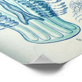 Poster Illustration de méduse vintage (Coin)