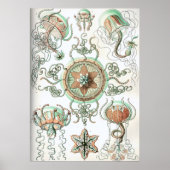 Poster Illustration de méduse vintage (Devant)